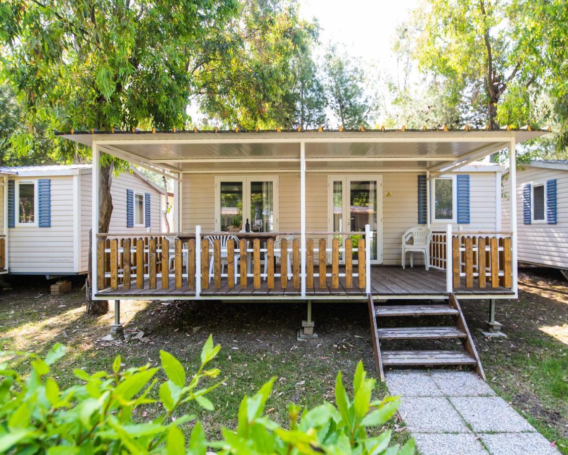 Camping Le Palme Marina Di Bibbona Eksteriør bilde