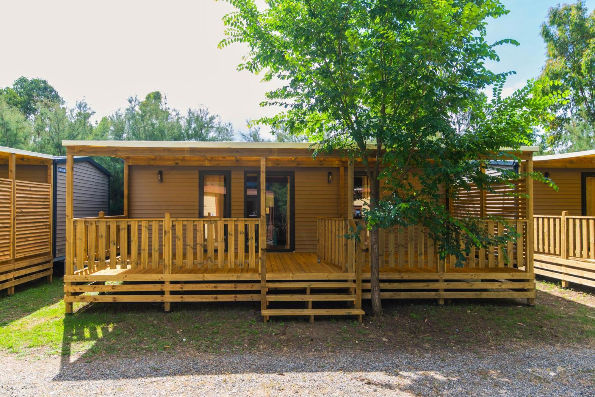 Camping Le Palme Marina Di Bibbona Eksteriør bilde